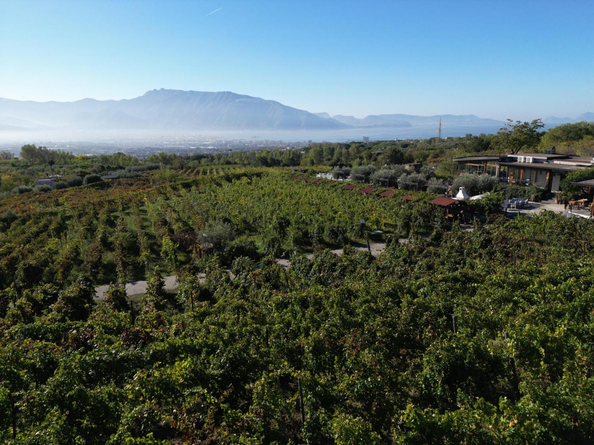 Vesuvio Inn Bed & Wine Experience Boscotrecase Exterior foto