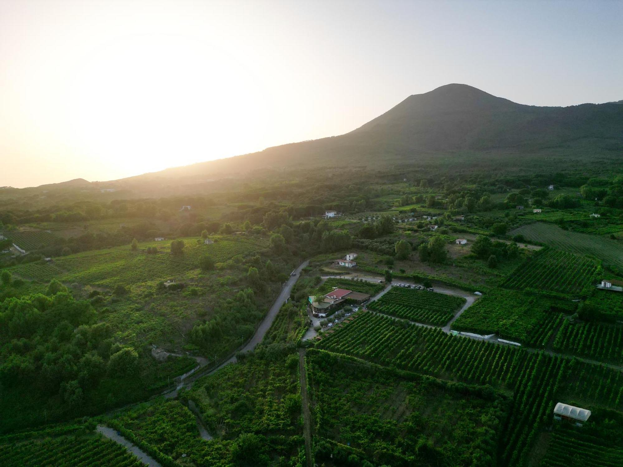 Vesuvio Inn Bed & Wine Experience Boscotrecase Exterior foto