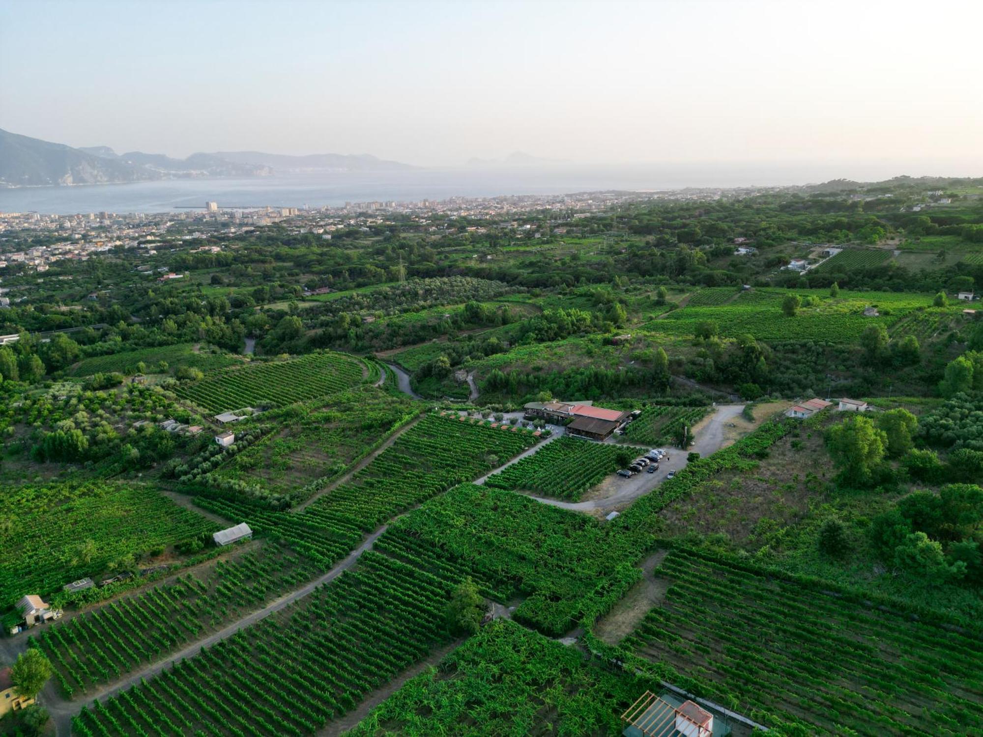 Vesuvio Inn Bed & Wine Experience Boscotrecase Exterior foto