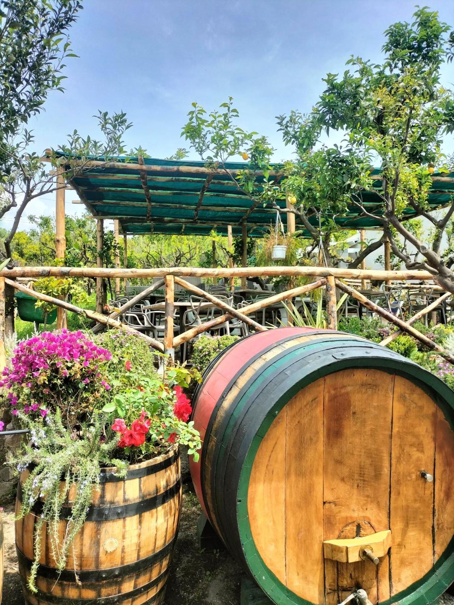 Vesuvio Inn Bed & Wine Experience Boscotrecase Exterior foto