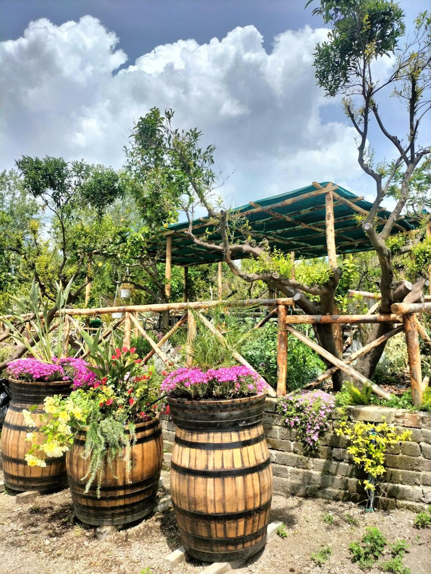 Vesuvio Inn Bed & Wine Experience Boscotrecase Exterior foto